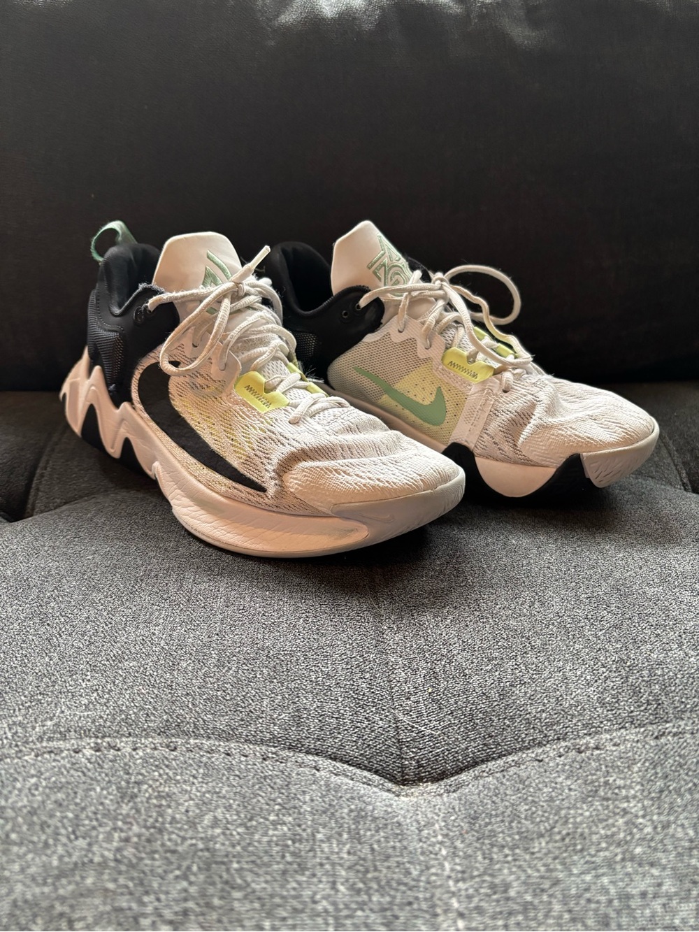 Nike Giannis Immortality 2 Basketball Shoes